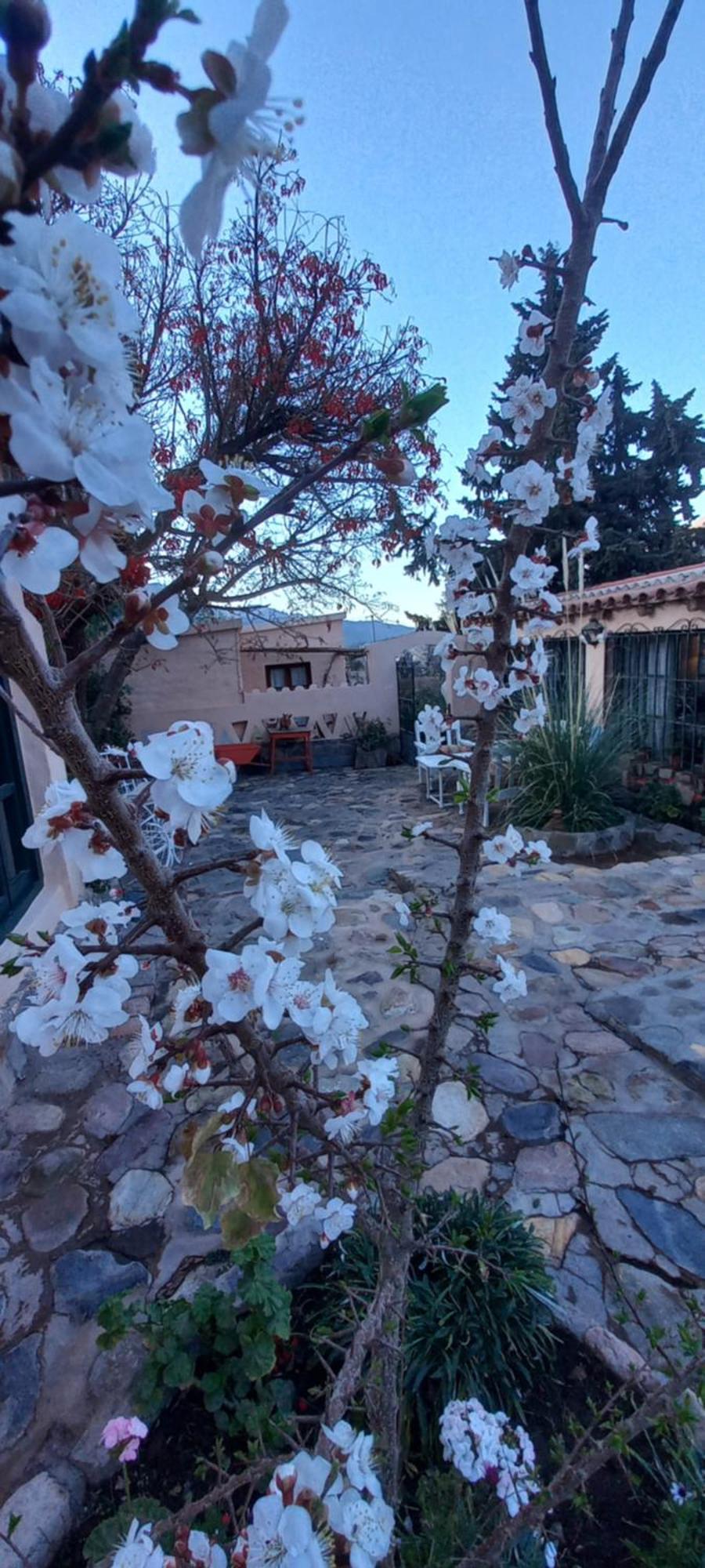 Los Arcabuceros Casa Hotel Boutique Tilcara Kültér fotó